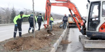Cadde ve sokaklar ıhlamur kokacak