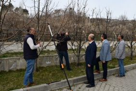 Çankırı çiftçilerine uygulamalı budama eğitimi