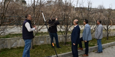 Çankırı çiftçilerine uygulamalı budama eğitimi