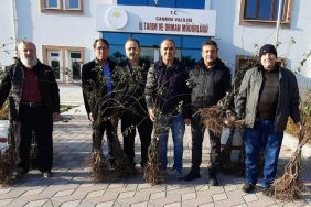 Çankırı'da çiftçilere 3800 adet kuşburnu fidanı dağıtıldı