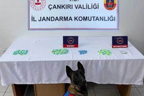 Çankırı’da uyuşturucu operasyonunda 1 kişi tutuklandı