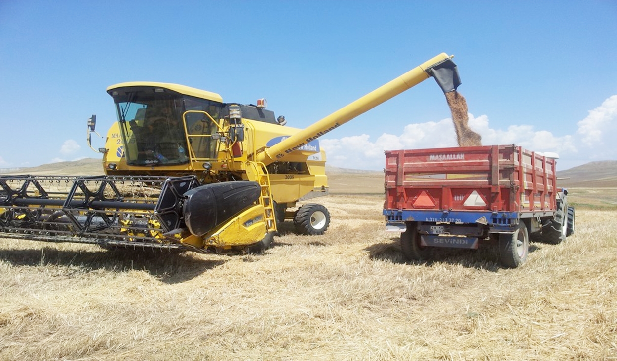 dane-kaybina-gecit-yok-7374