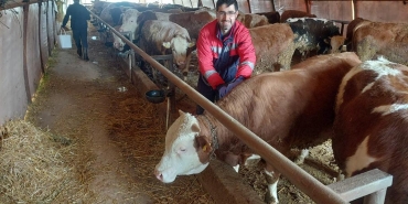 İlimizde şap aşılaması aralıksız devam ediyor