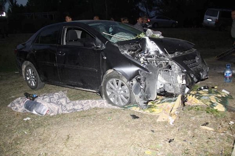 piknik-yapan-aileye-otomobil-carpti-2-olu-8060